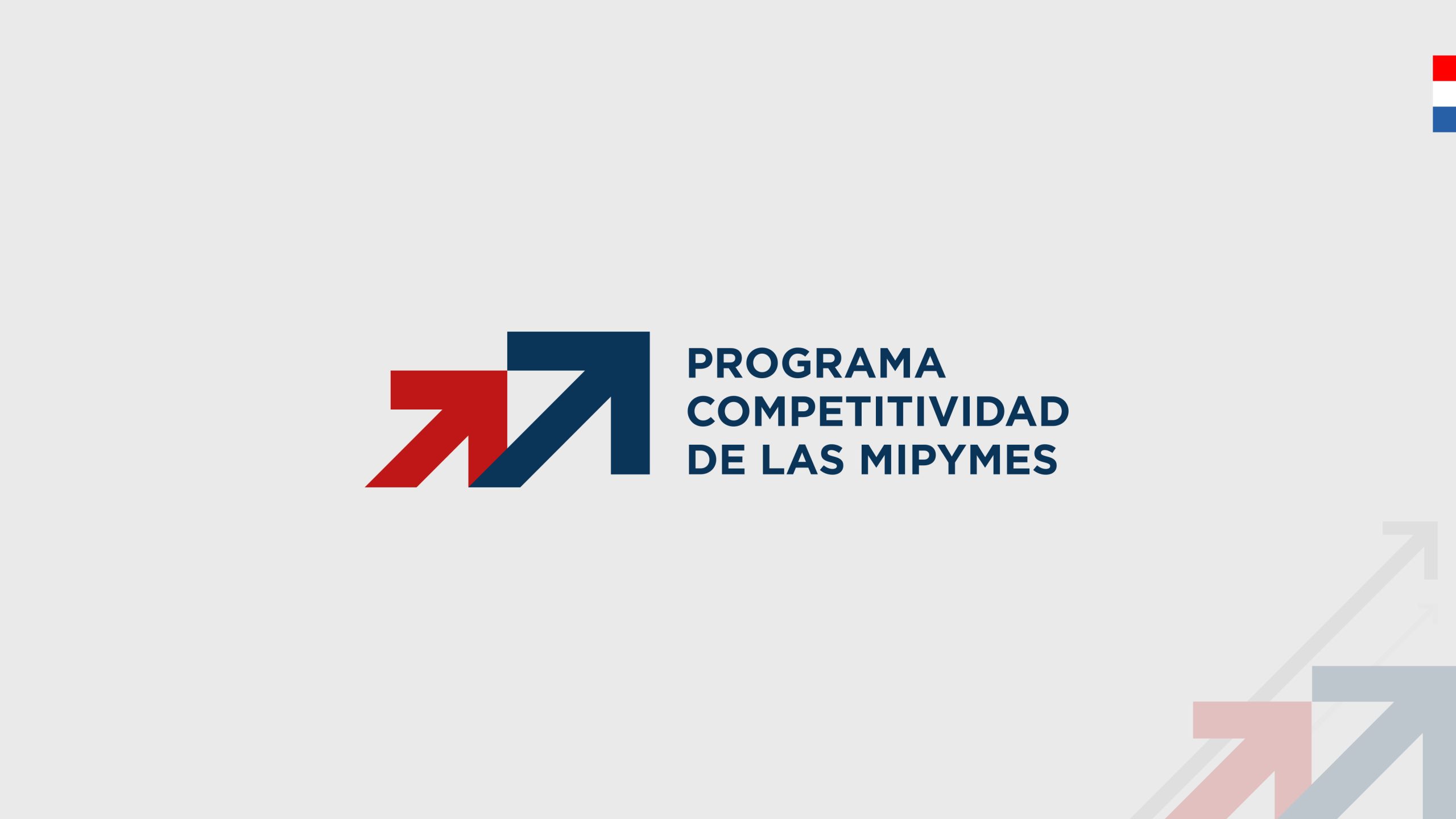 Ministerio de Industria y Comercio – Programa de Competitividad de las MIPYMES (PCM) 